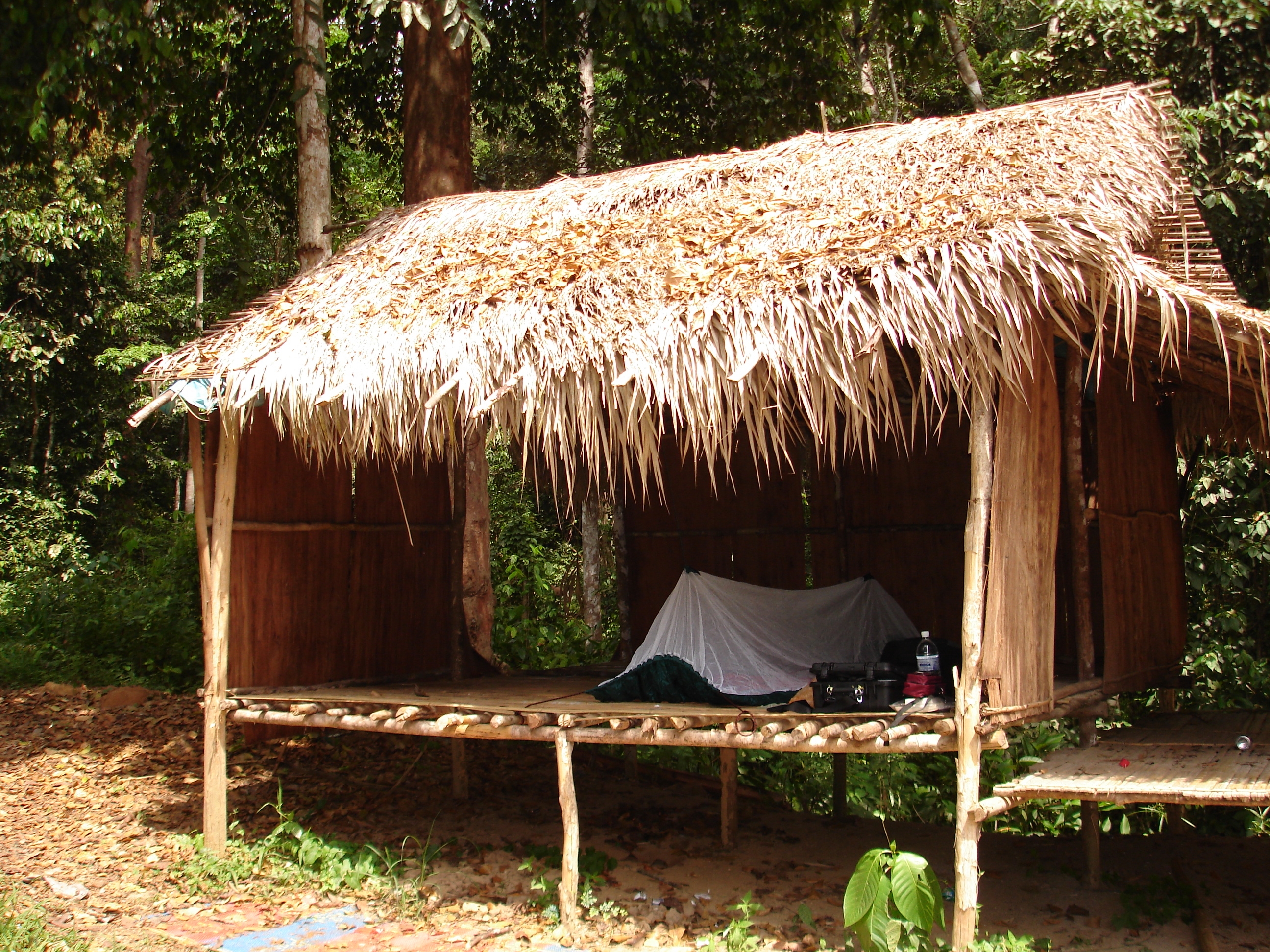 Εικόνα επιλογής